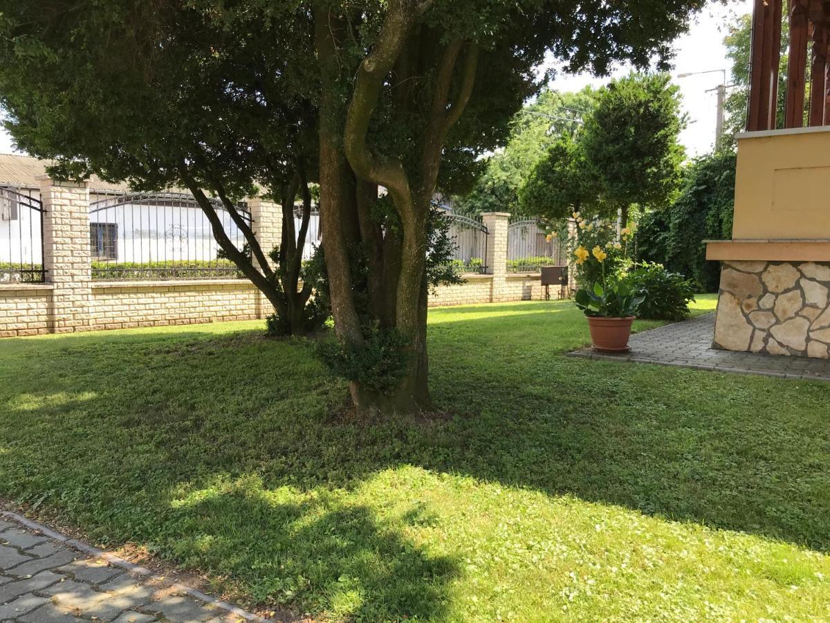 Szent Istvan Fogado Hotel Nagymaros Buitenkant foto